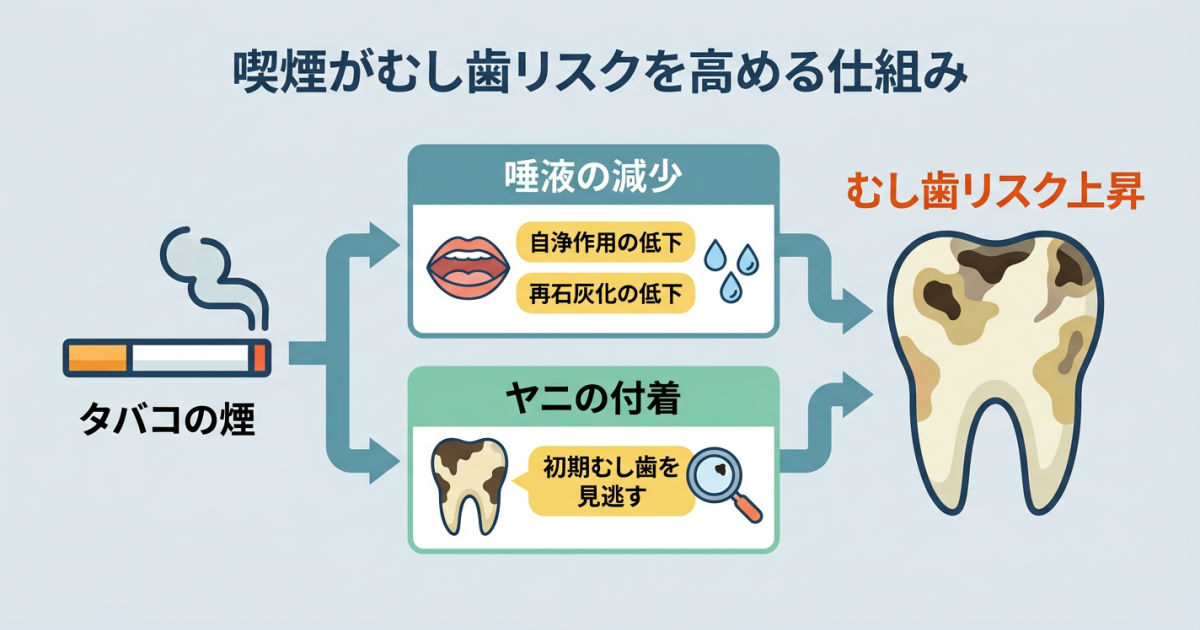■意外と知られていない喫煙とむし歯の関係