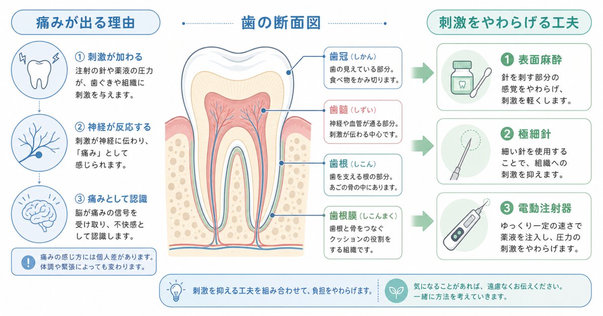 歯の根の治療は痛い？麻酔が怖い方へ配慮した処置と医院選び
